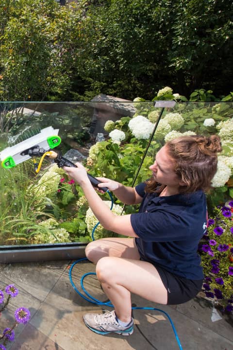 A women cleaning glass of a House Washing in Kingston