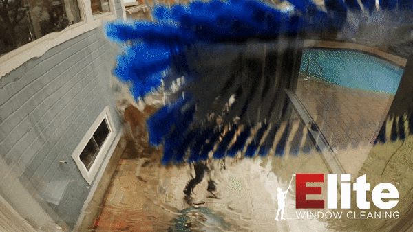 Window Cleaning Company in Omemee!